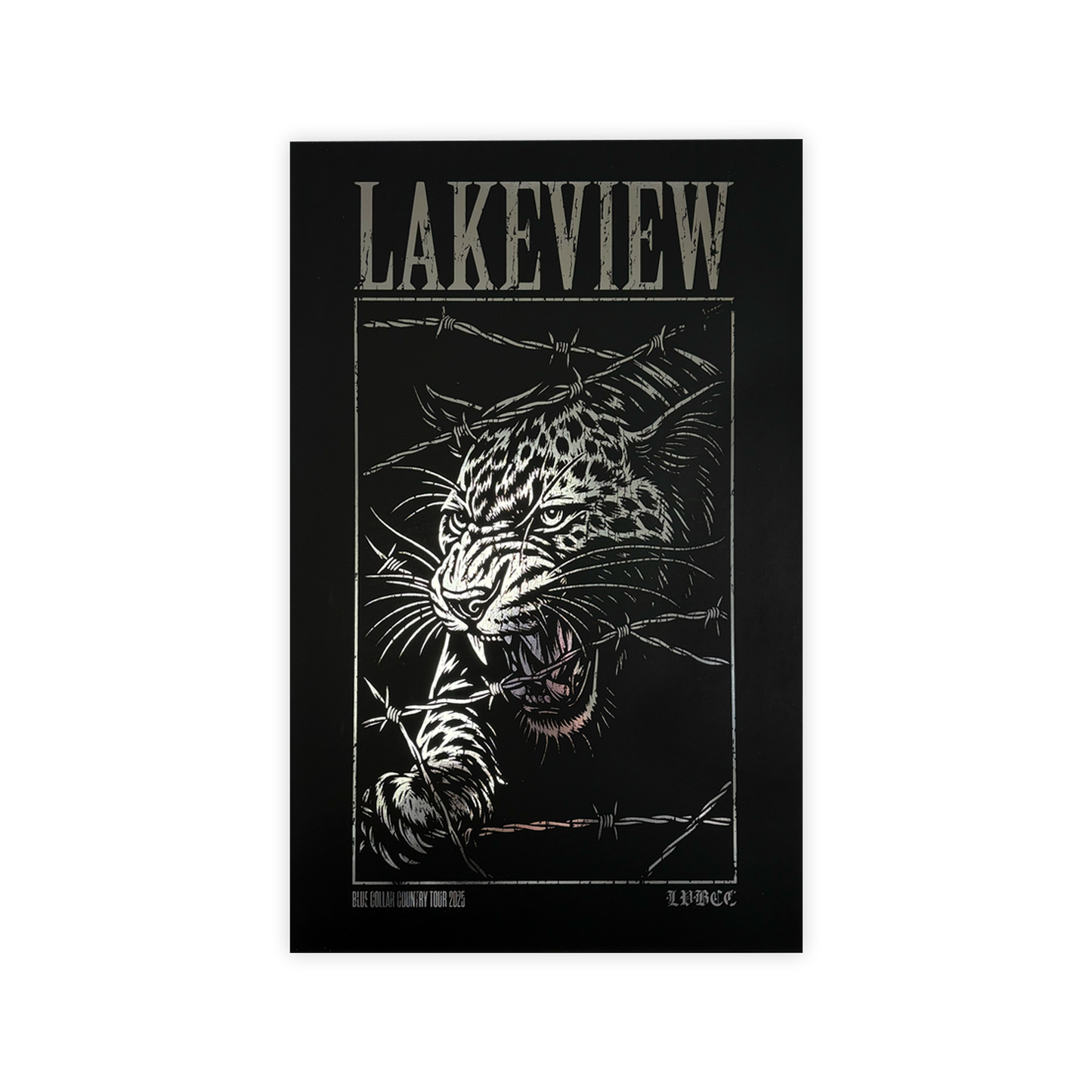 Blue Collar Country Tour 2025 Poster